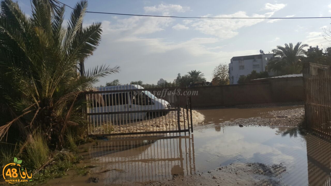 dhamasha ja3 (12).jpg